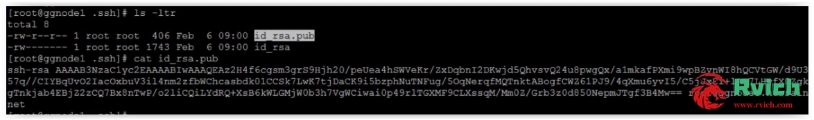 图片[2]-Oracle破解SSH密钥问题-柚子云